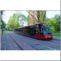 2019-06-02 T1 Boerio 06.jpg